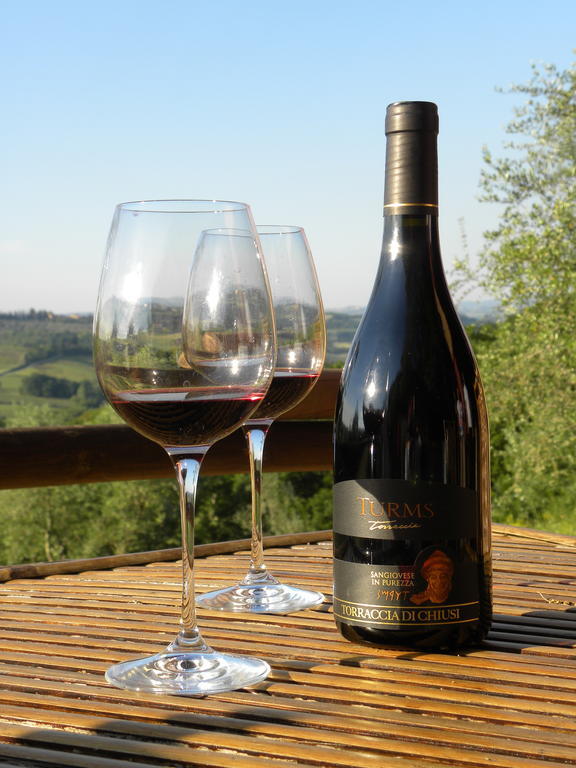 Bauernhof Torraccia Di Chiusi Relais San Gimignano