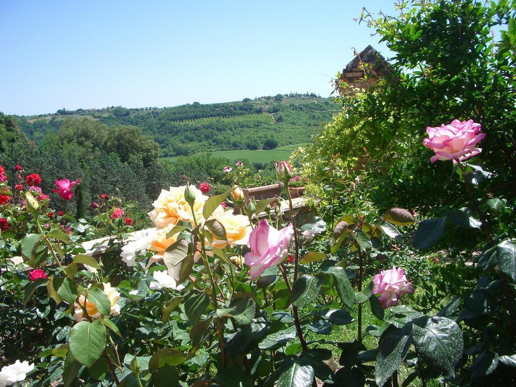 Bauernhof Torraccia Di Chiusi Relais
