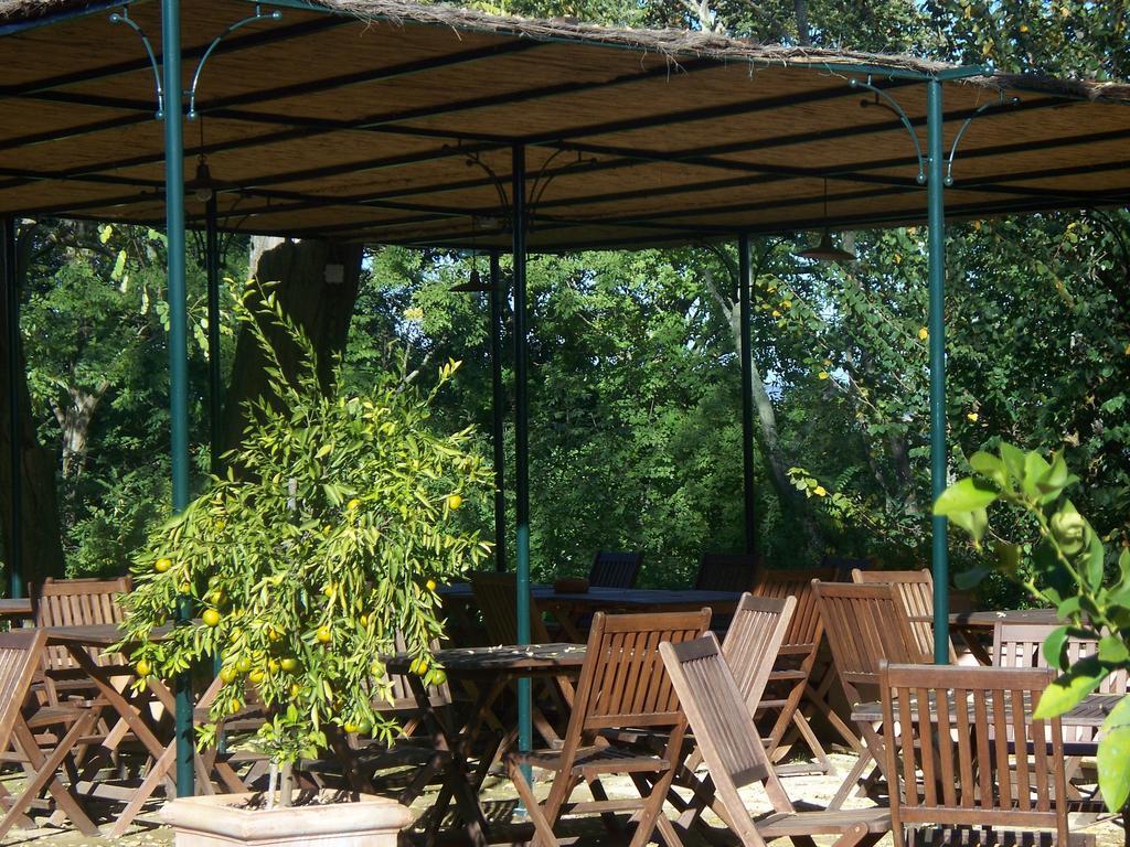 Bauernhof Torraccia Di Chiusi Relais