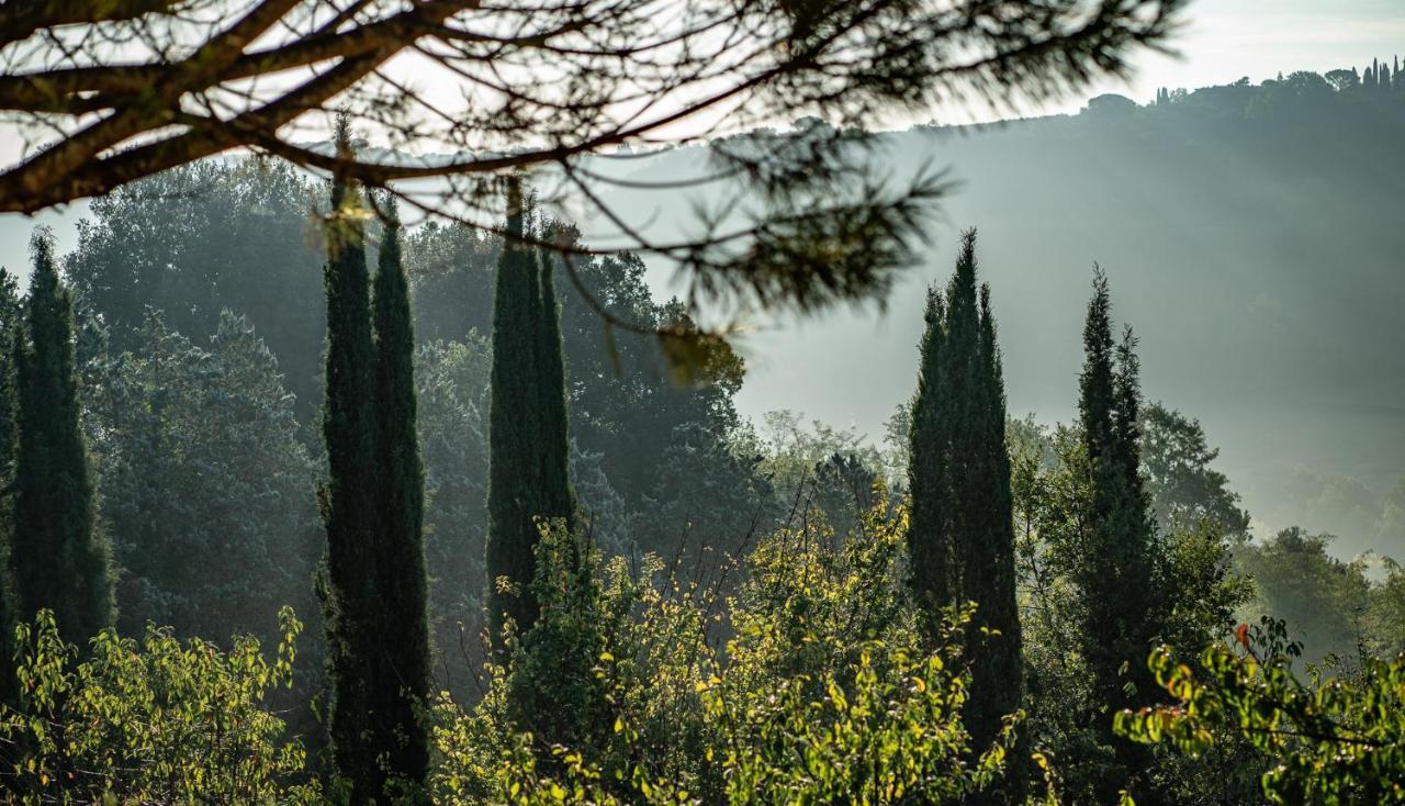 Torraccia Di Chiusi Relais *
